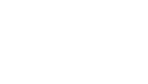 Pronoesis